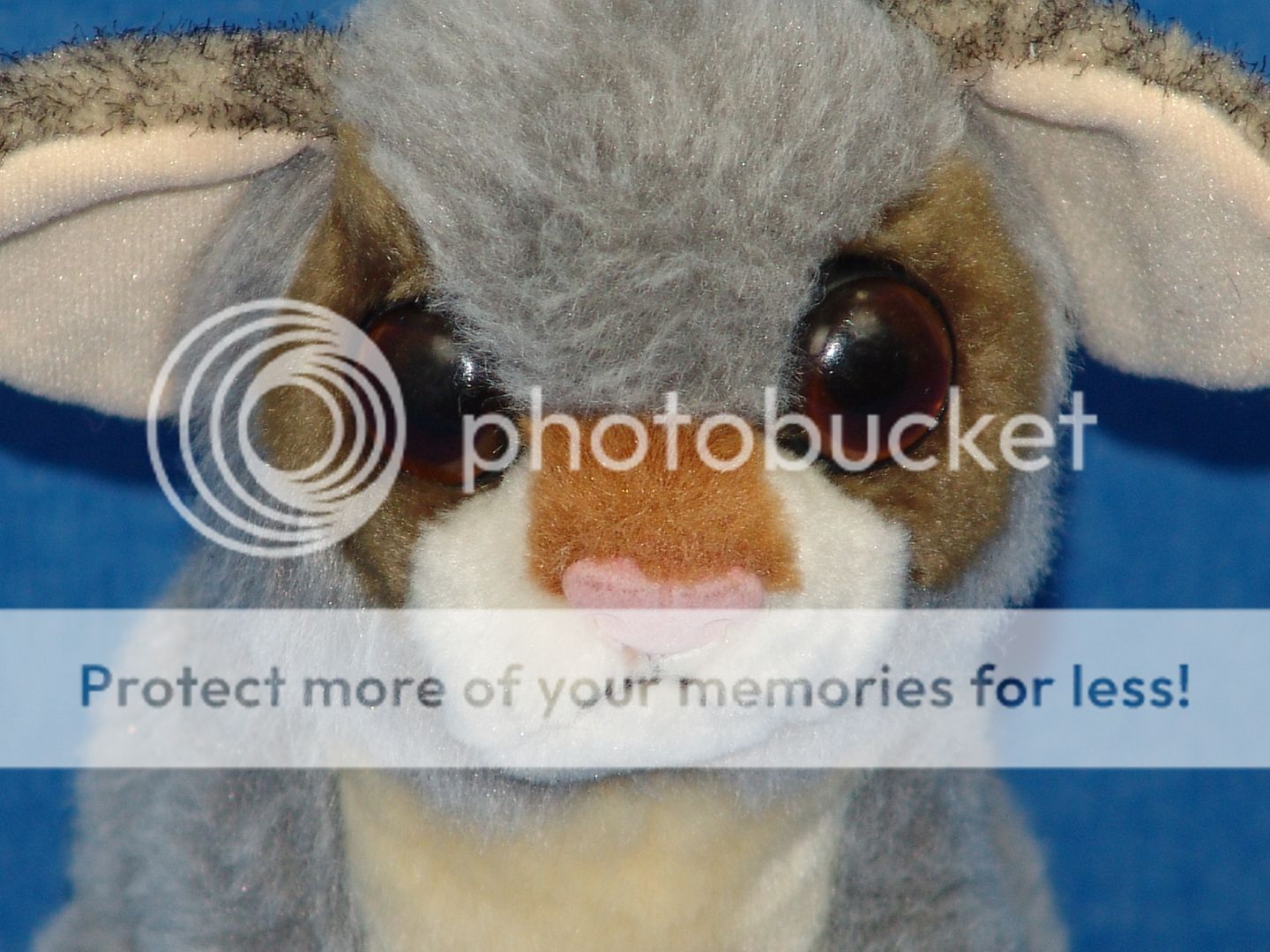 bush baby plush