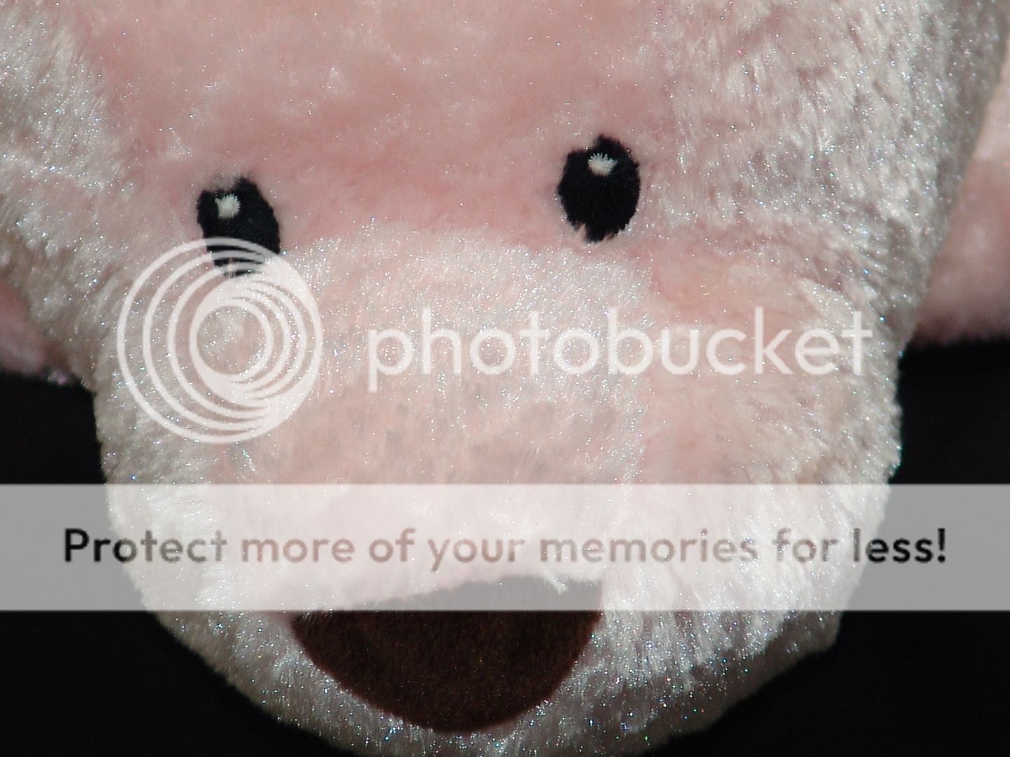 baby gund comfy cozy blanket plush pink bear 5864 plush stuffed