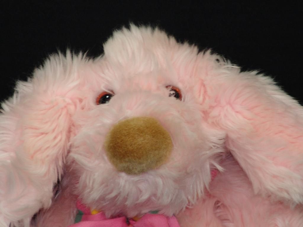 big nose stuffed animal