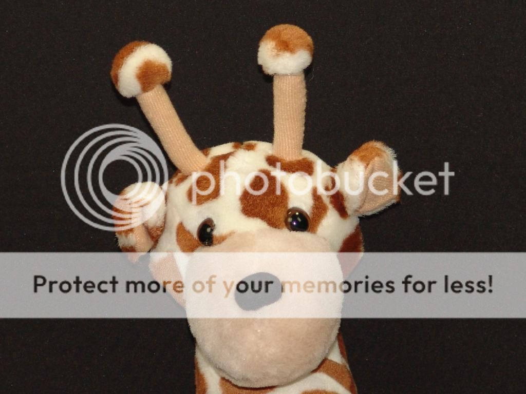 circus stuffed animals