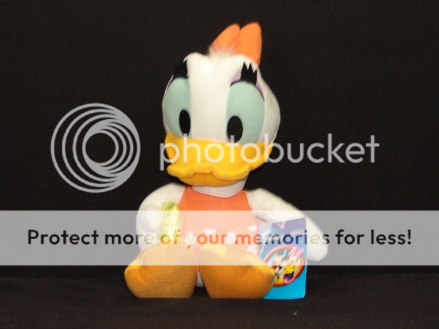 baby daisy duck plush