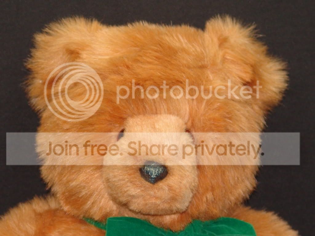 jcpenney teddy bear