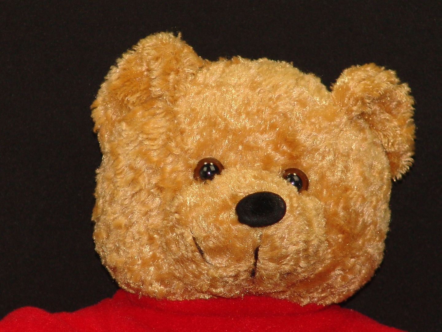 golf teddy bear