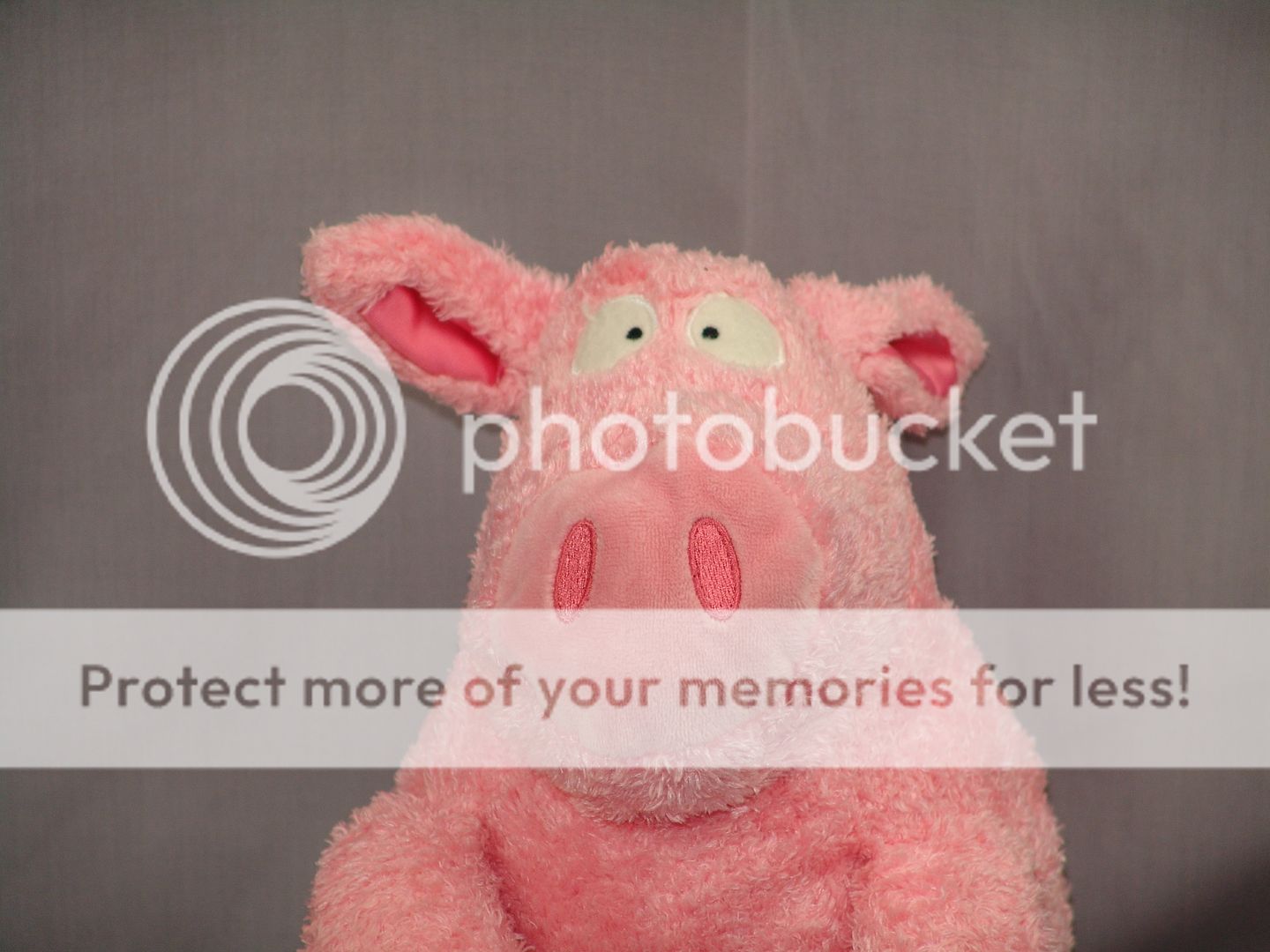 Cartoon Toy Sandra Boynton Pink Pig Plush Stuffed Animal Crazy Looking 