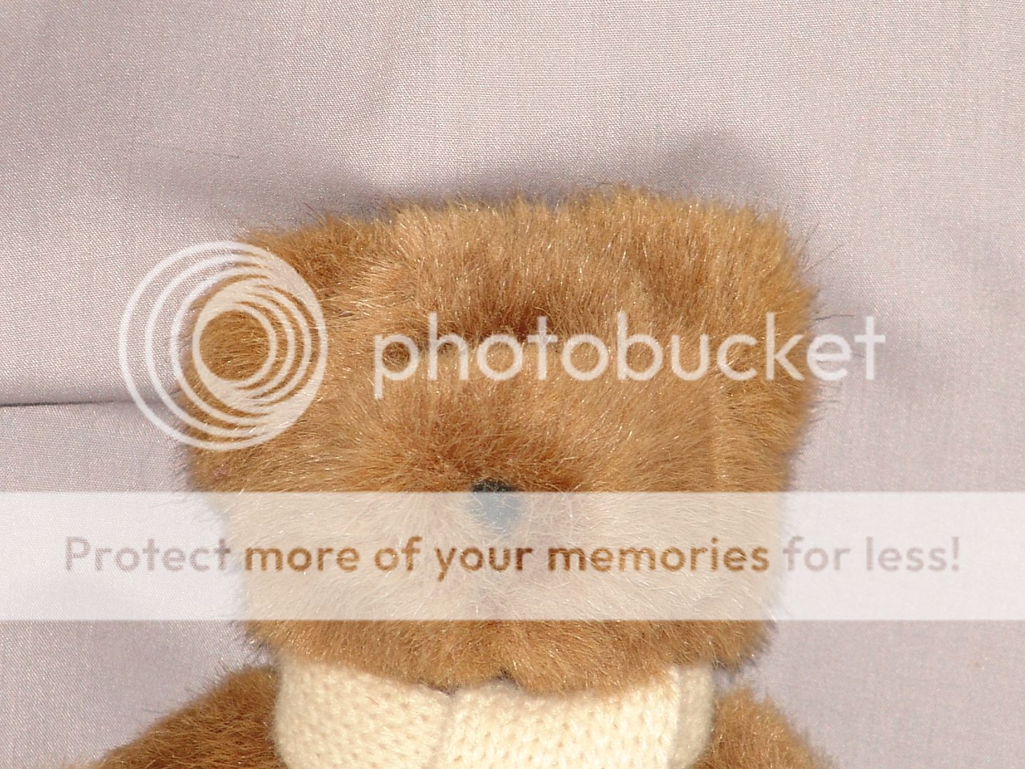 polo teddy bear stuffed animal