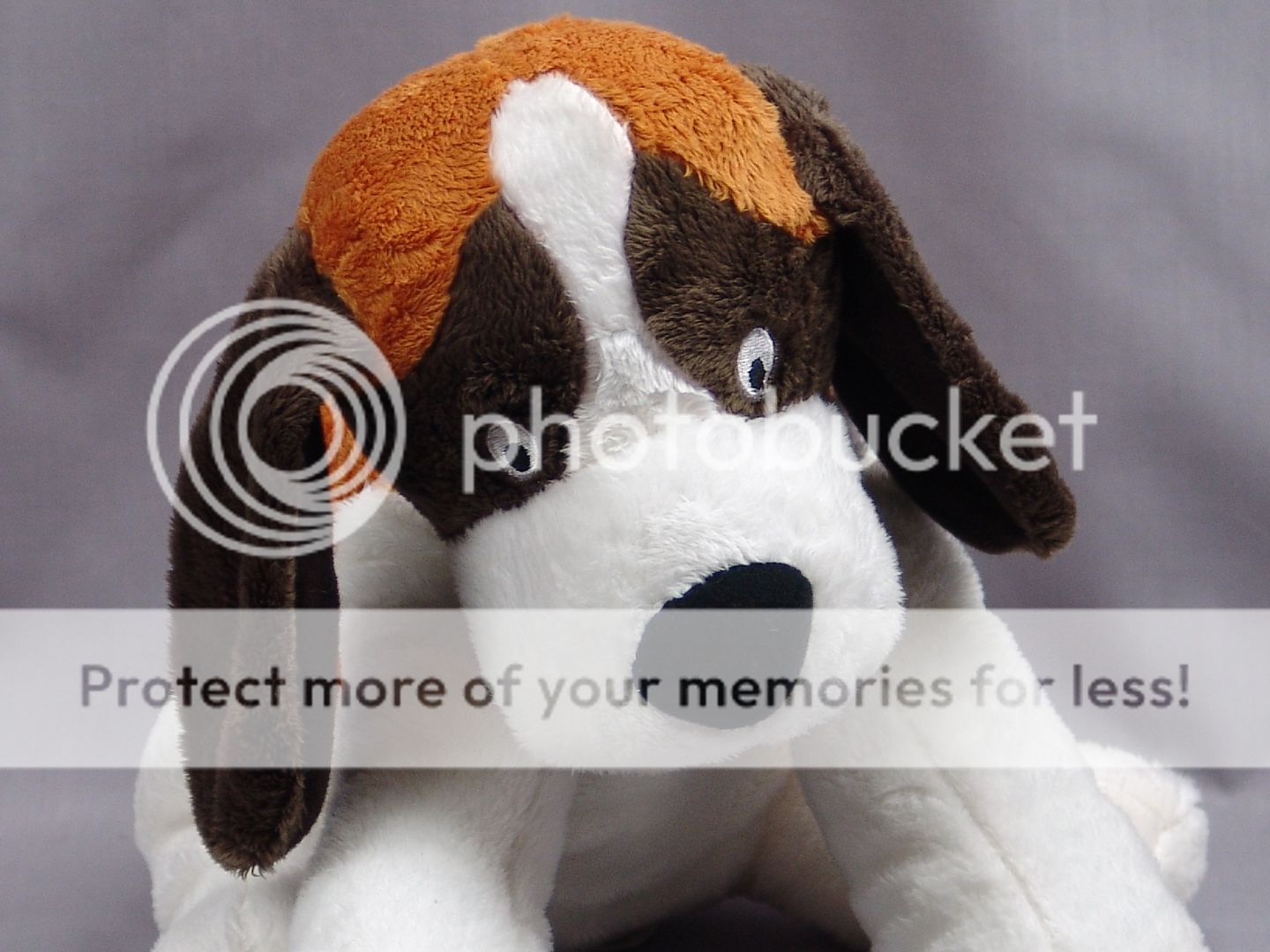 Details About Adorable Soft Dog Duck At The Door Jackie Urbanovic Book Plush Stuffed Animal