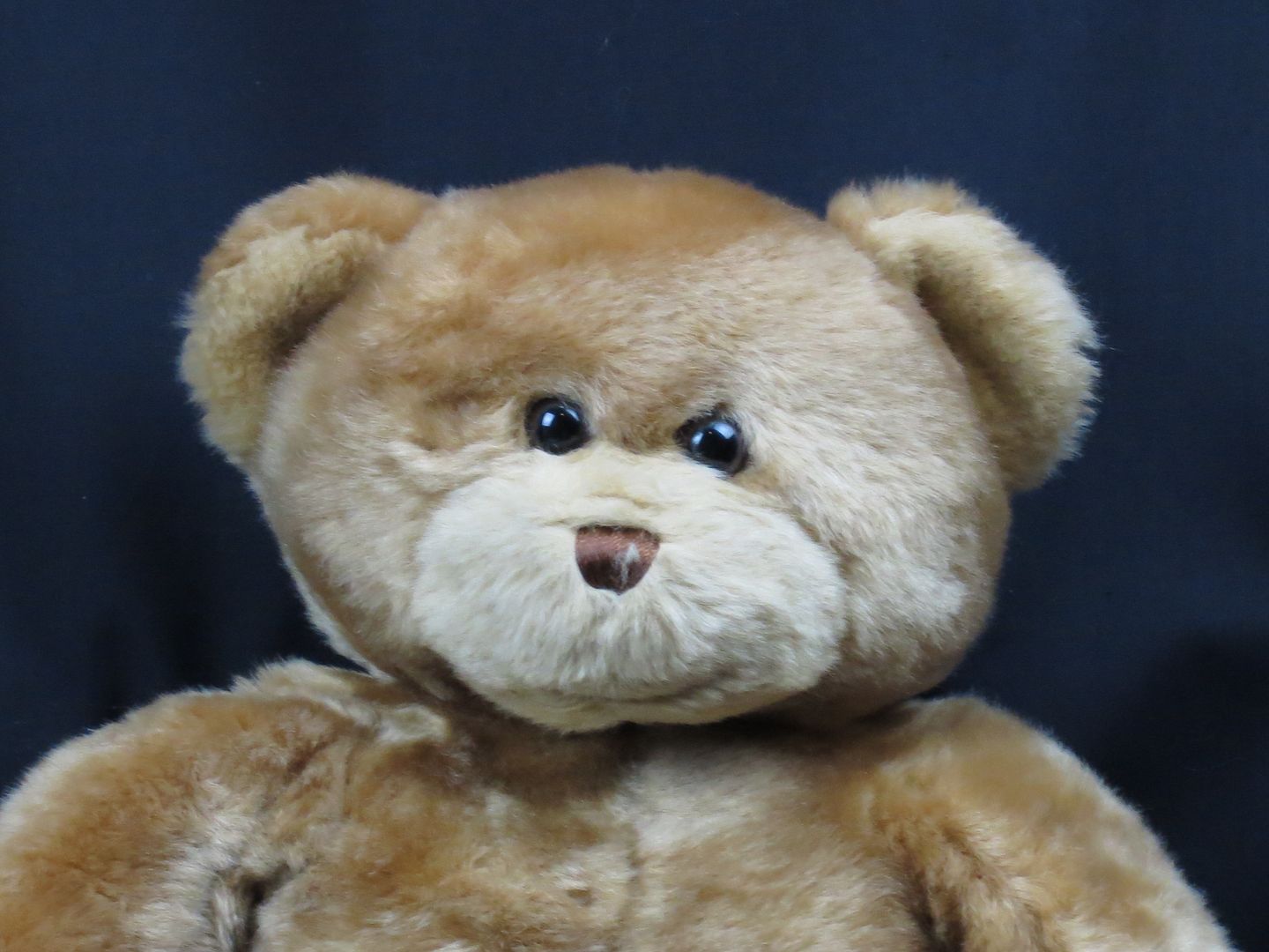 teddy with long legs