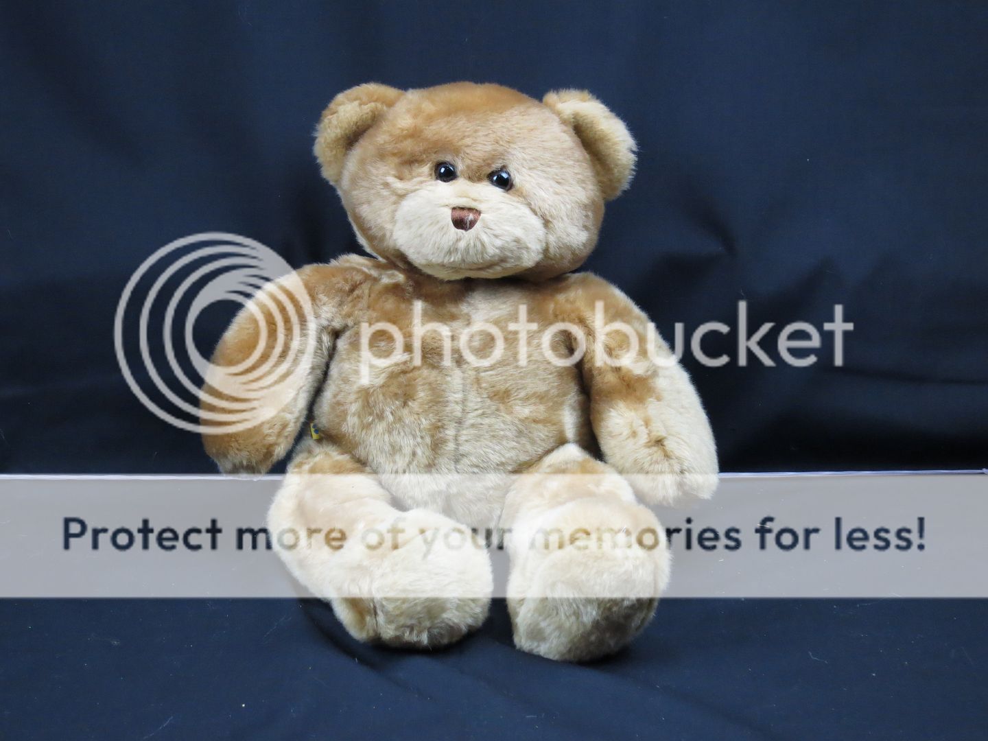 amazon teddy bear long legs