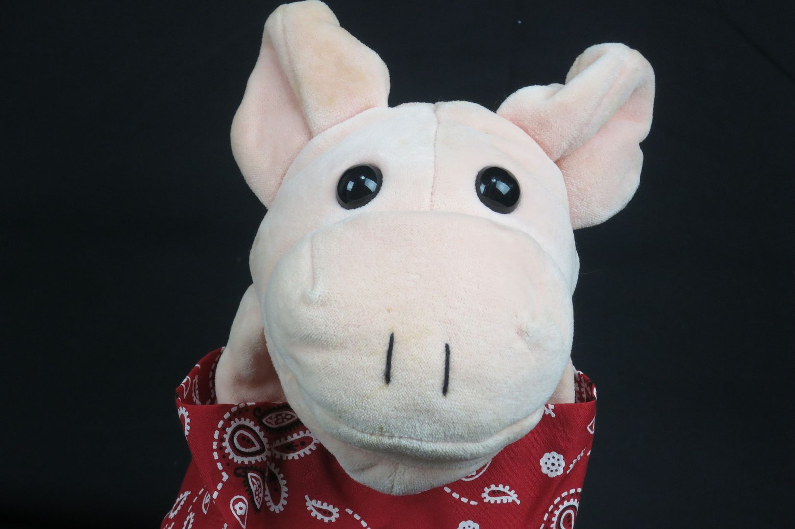 manhattan toy pig