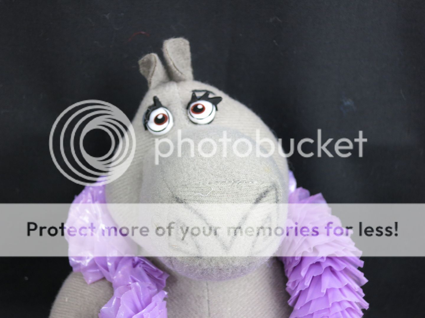 gloria the hippo plush