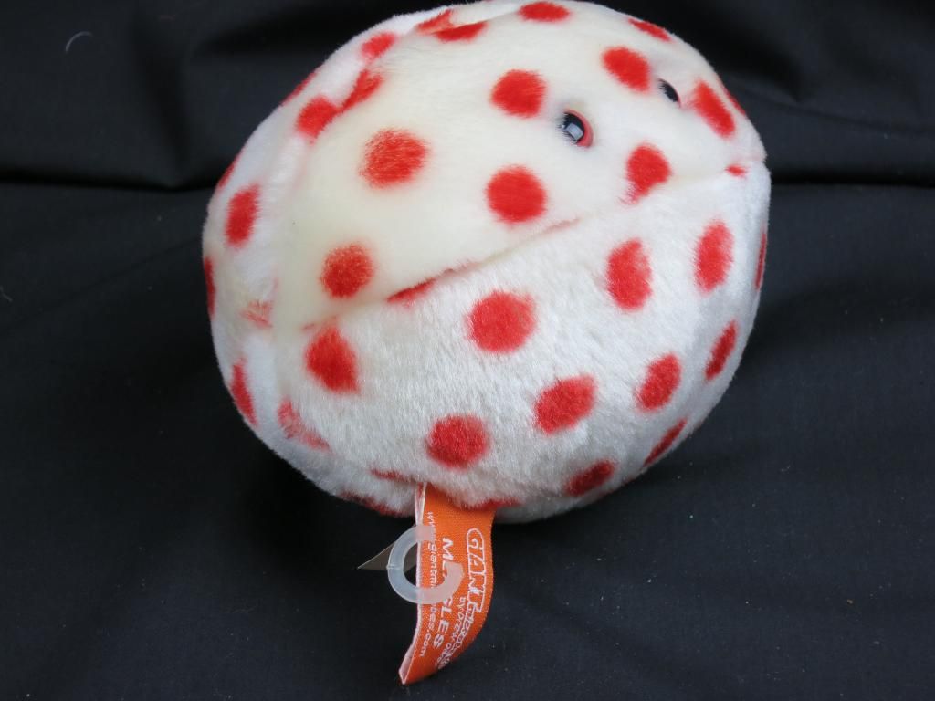 giant microbes measles
