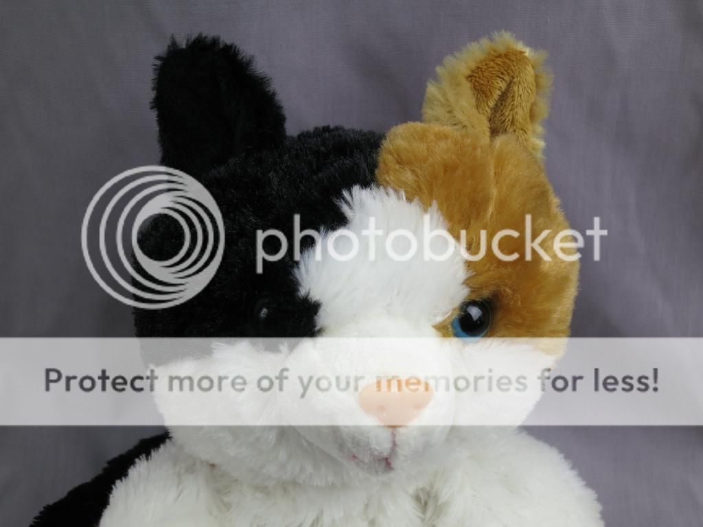 adorable soft blue eyes calico kitty cat kitten puppet plush