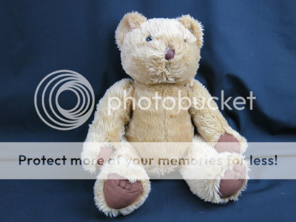 10 inch bear